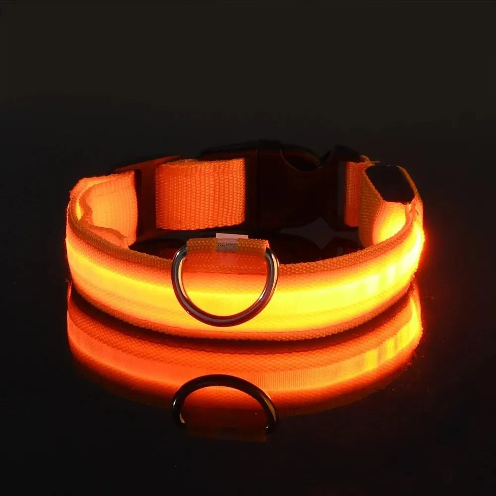 LED Glow-in-the-Dark Dog Leash & Collar – Nylon, Night Safety Flashing