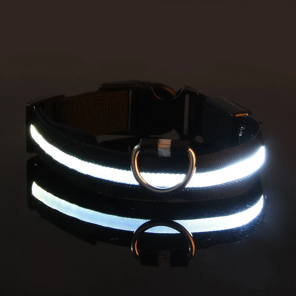 LED Glow-in-the-Dark Dog Leash & Collar – Nylon, Night Safety Flashing