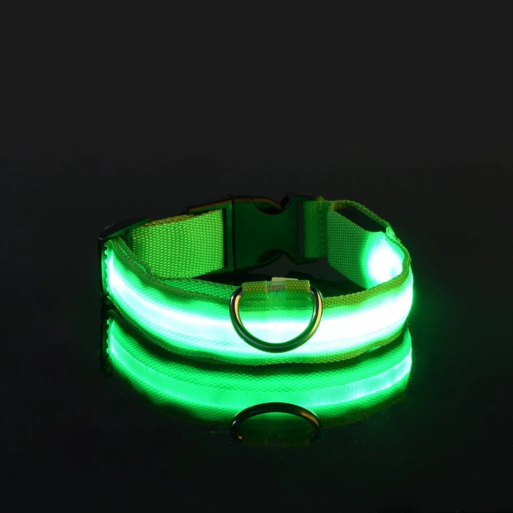 LED Glow-in-the-Dark Dog Leash & Collar – Nylon, Night Safety Flashing