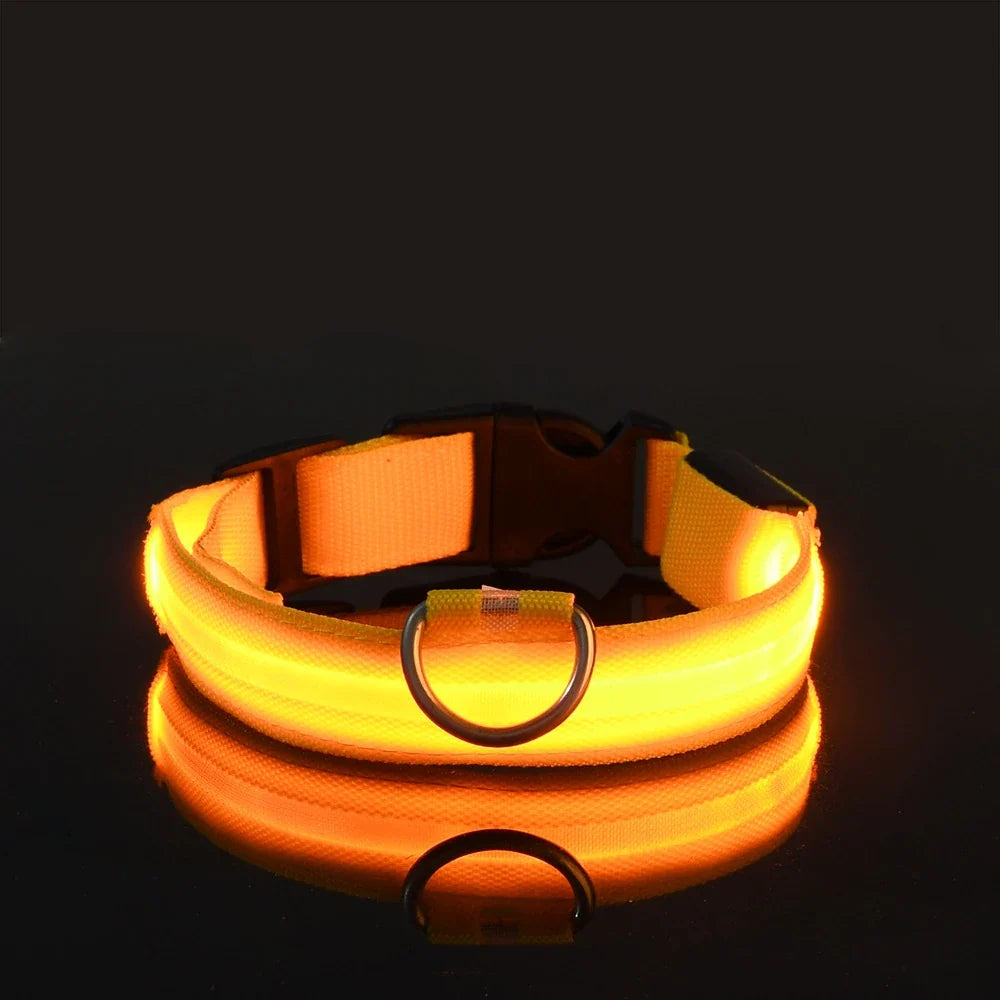 LED Glow-in-the-Dark Dog Leash & Collar – Nylon, Night Safety Flashing
