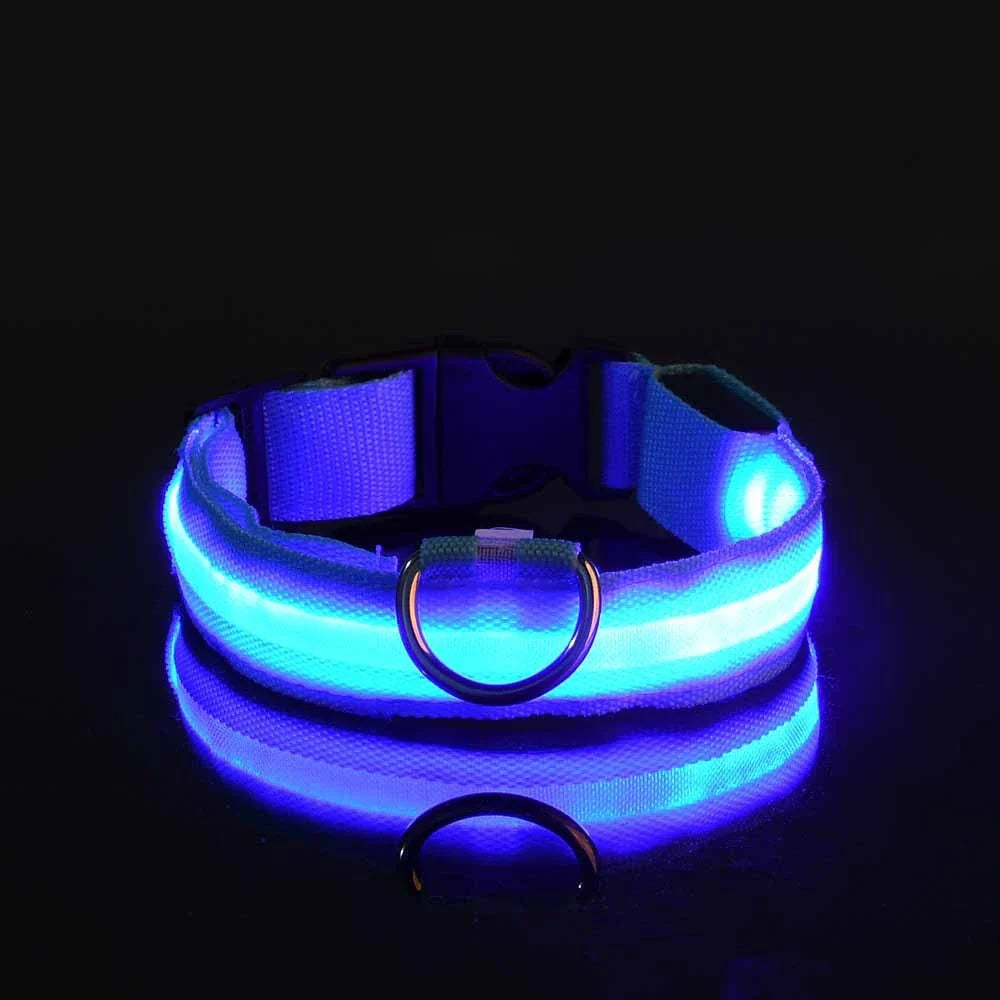 LED Glow-in-the-Dark Dog Leash & Collar – Nylon, Night Safety Flashing