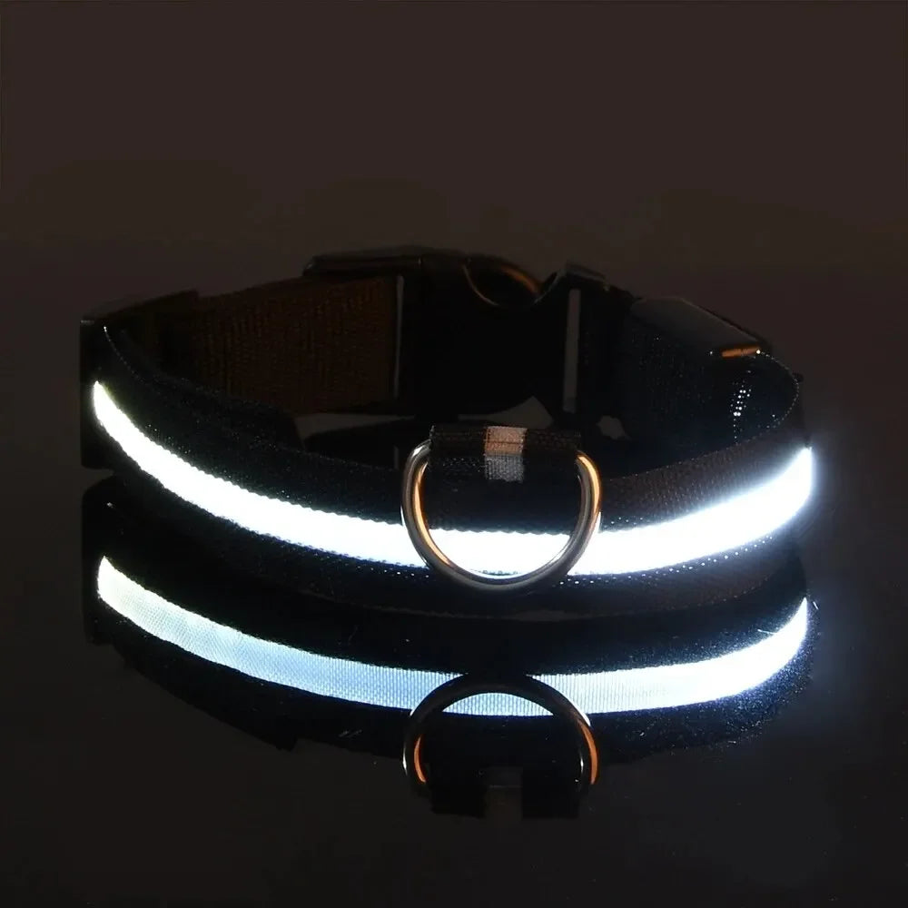 LED Glow-in-the-Dark Dog Leash & Collar – Nylon, Night Safety Flashing