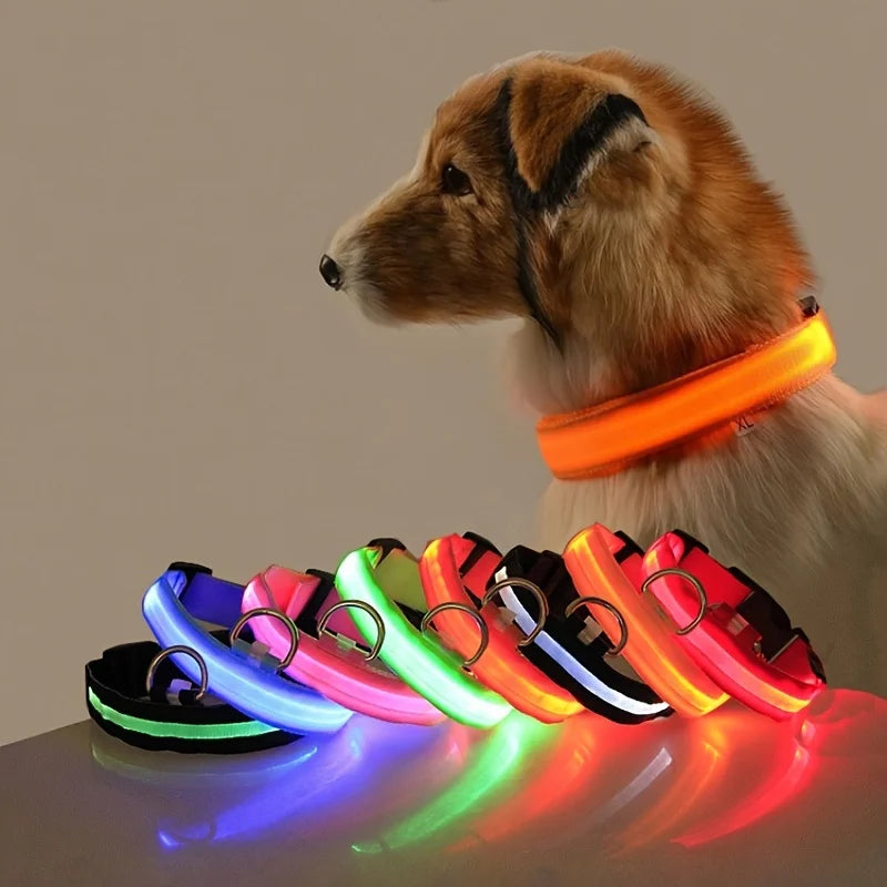 LED Glow-in-the-Dark Dog Leash & Collar – Nylon, Night Safety Flashing