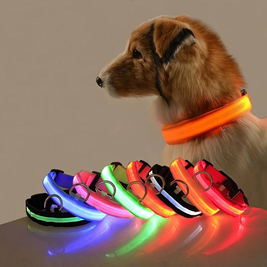 LED Glow-in-the-Dark Dog Leash & Collar – Nylon, Night Safety Flashing