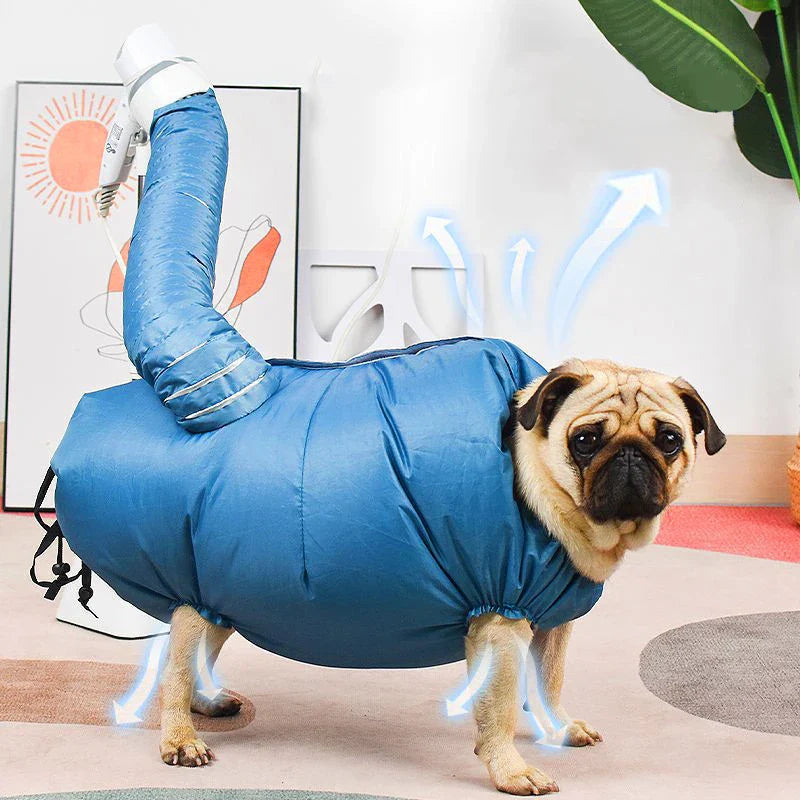 Pet Dogs Dryer