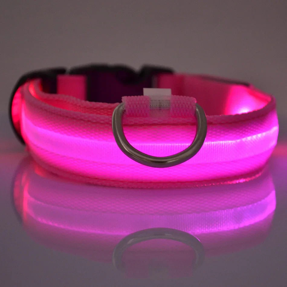 LED Glow-in-the-Dark Dog Leash & Collar – Nylon, Night Safety Flashing