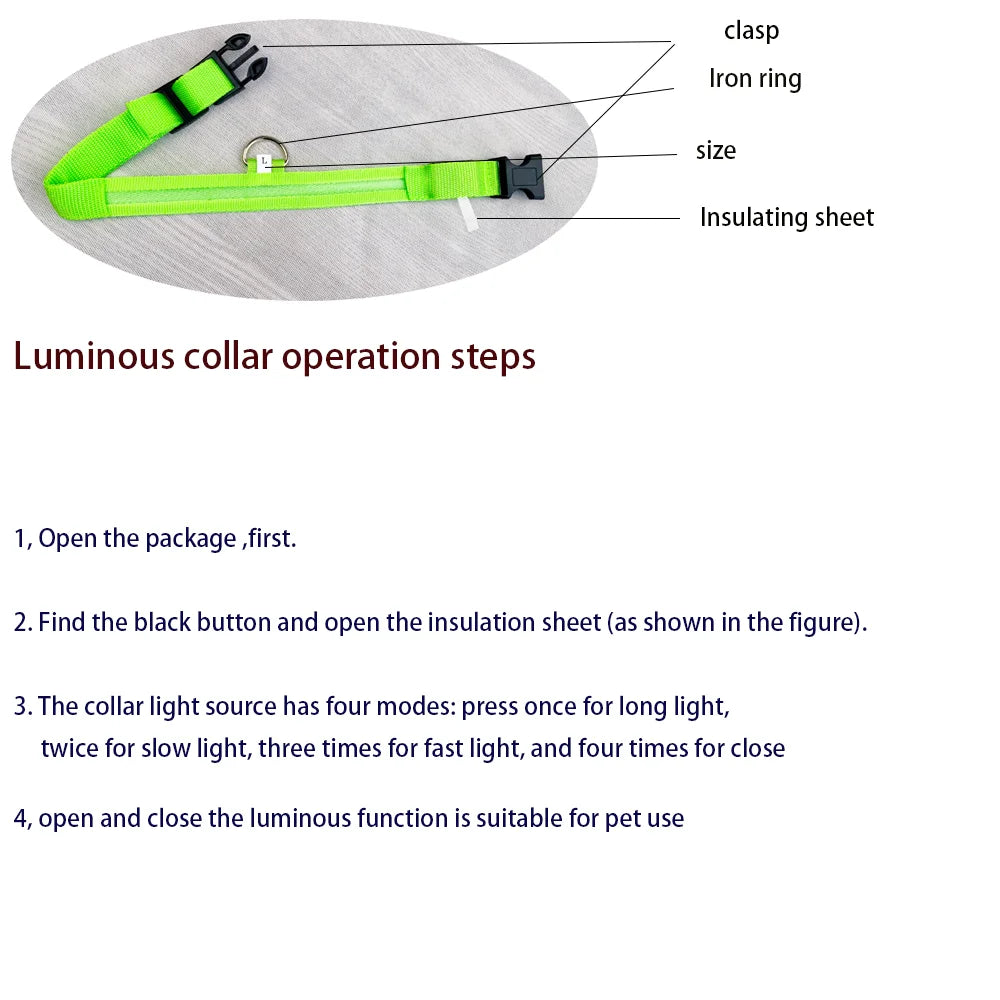 LED Glow-in-the-Dark Dog Leash & Collar – Nylon, Night Safety Flashing
