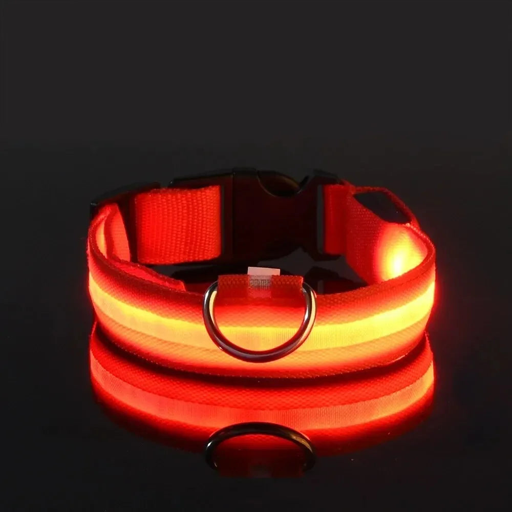 LED Glow-in-the-Dark Dog Leash & Collar – Nylon, Night Safety Flashing