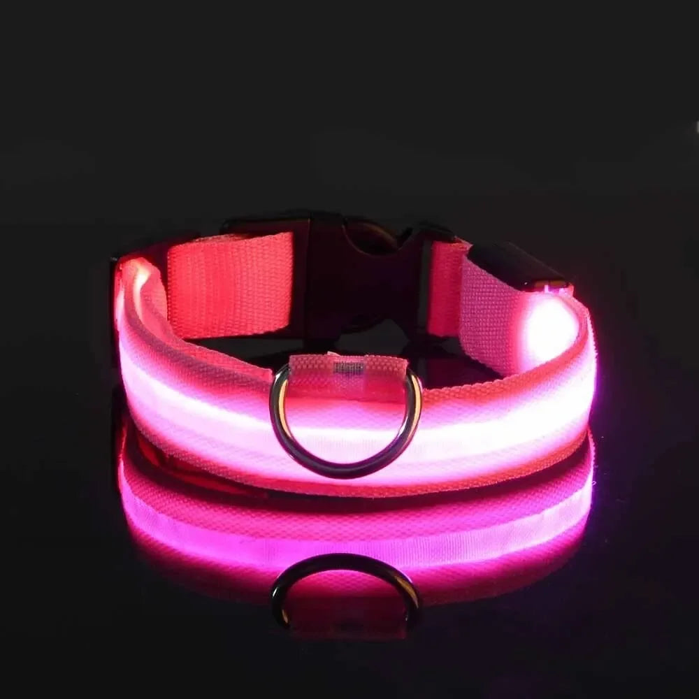 LED Glow-in-the-Dark Dog Leash & Collar – Nylon, Night Safety Flashing
